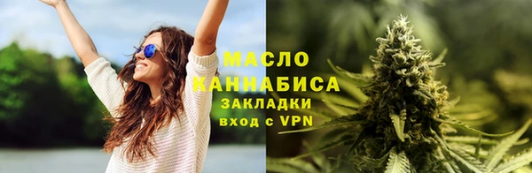 сатива Сосновка