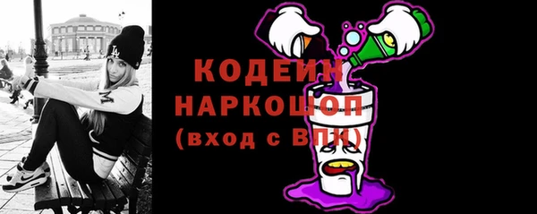индика Сосновый Бор