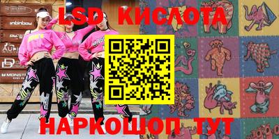 крисы Абакан