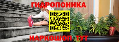 экстази Кингисепп