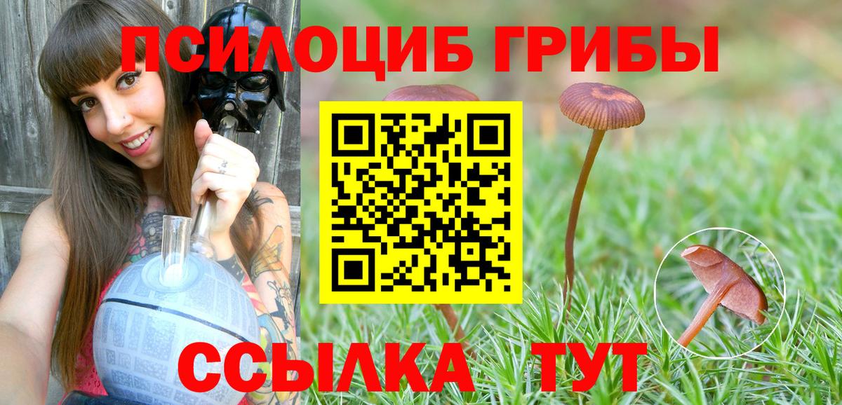 Галлюциногенные грибы Cubensis  Вход с VPN  купить наркотики сайты  Тверь 
